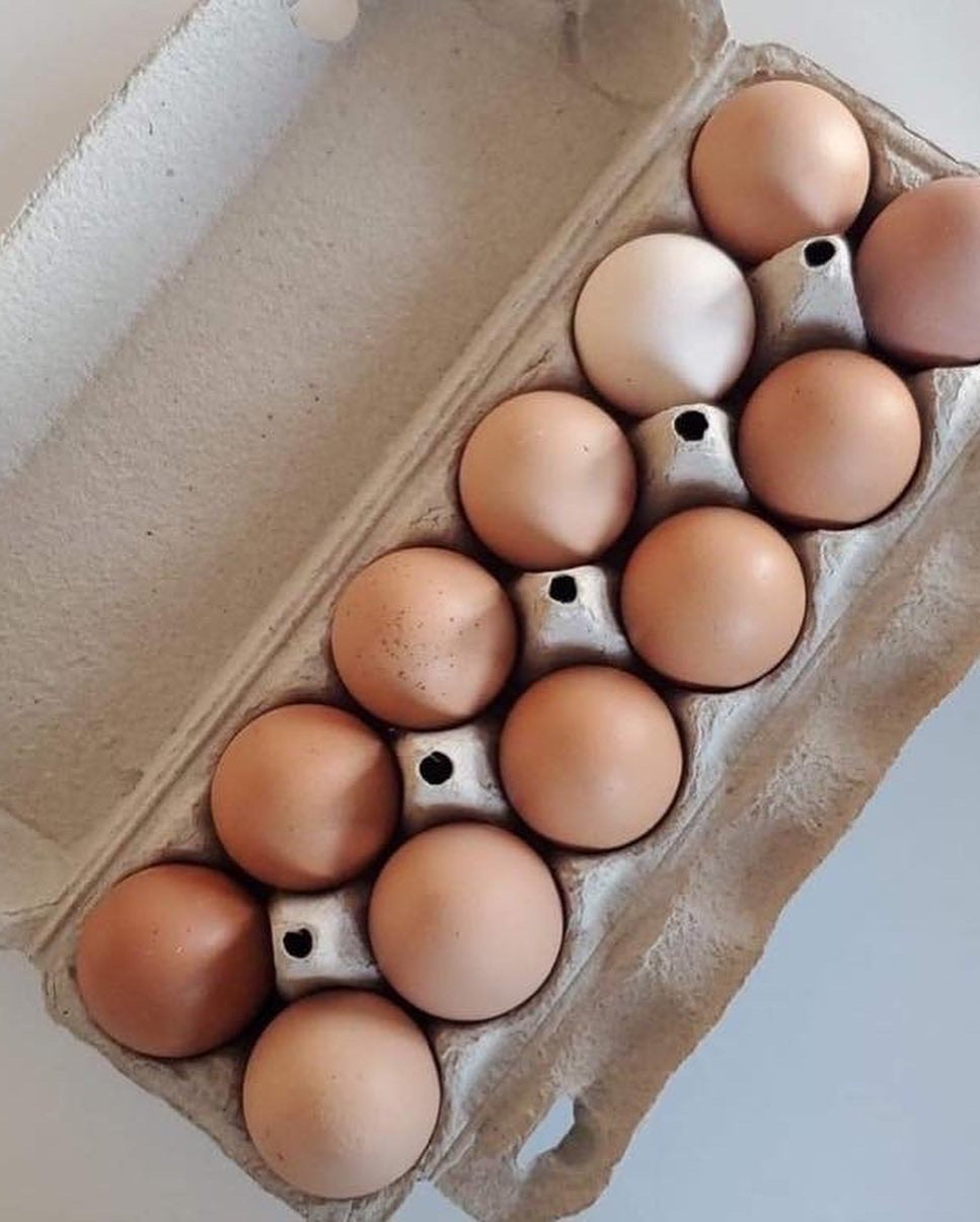 Oeufs